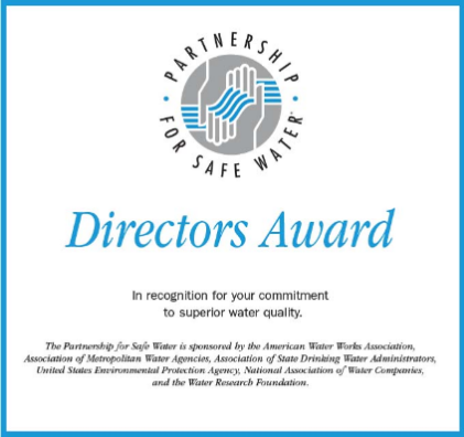 Partnership Treatment Directors Award Web Page Image